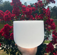 528hz White Light and Gravity Singing Bowl - Solfeggio Love Frequency, 8” C Note, Sound Vibration, Carry Case, Striker, Mallet, and O-ring