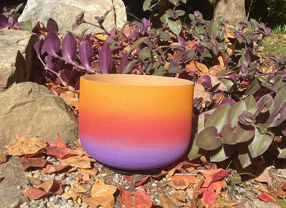 Desert Flower - 432Hz 8" Solar Plexus Chakra E Note Crystal Singing Bowl - Mallet, Padded Carry Case, 528 Hz Solfeggio Tuning Fork
