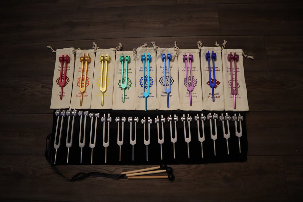24pc Human Biology And Solfeggio Tuning Forks - Professionally Tuned .25 - Bio-field, Sound Vibration, Vibration
