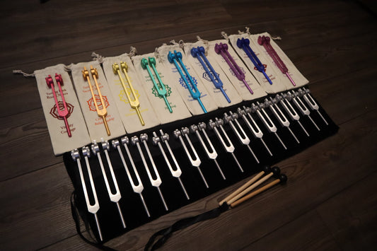 24pc Human Biology And Solfeggio Tuning Forks - Professionally Tuned .25 - Bio-field, Sound Vibration, Vibration