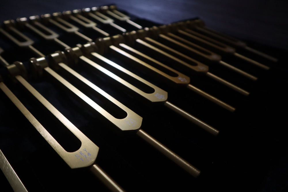 9pc Secret Solfeggio and 8pc Chakra Tuning Fork Bundle - Professionally Tuned .25 - Gold Weighted, 2 Strikers, 2 Carry Bags