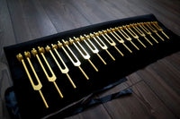 Myriad Melodies' Professionally Tuned .25 15pc Human Biology Tuning Fork Set - Organs Tissue Cells Sound Vibration, Bio-field, Carry Bag