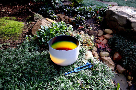 528 Hz Root Chakra Rainbow Bowl - 8” Crystal Singing Bowl - 174 Hz Solfeggio Tuning Fork - 99% Quartz Crystal, Striker, Padded Carry Case
