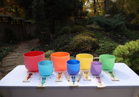 Myriad Melodies' Perfect Pitch 432 Hz Frosted Chakra Singing Bowl Set - 10 Chakra Tuning Forks - 10 Crystal Attenuators - Protective Cases