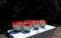 Myriad Melodies' Perfect Pitch (5 Cents) 432 Hz 8-14 Classic Rainbow Color Singing Bowl Set - 2 Cases, 2 Mallets, 2 Suede Strikers
