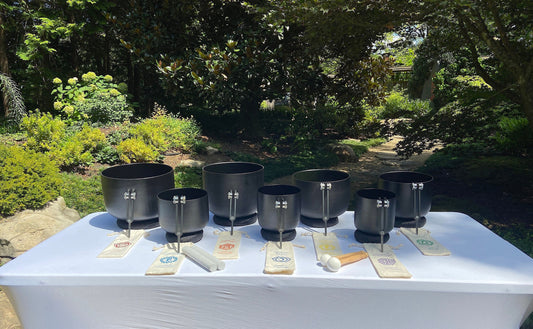 Myriad Melodies' Perfect Pitch (5 Cents) 432 Hz Gravity Bowl Set - 10 Chakra Tuning Forks - 10 Crystal Attenuators - Protective Cases