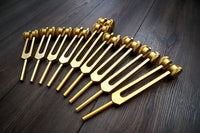24pc Human Biology and Secret Solfeggio Tuning Fork - Professionally Tuned .25 - Gold, Silver Bio-field Sound Vibration