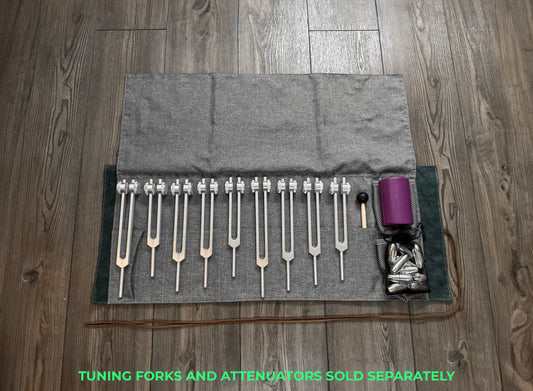 Myriad Melodies' Tuning Fork Carry Bag - Professional 10pc Tuning Fork Plug-In Bag with Compartments For Attenuators, Activator, Accessories