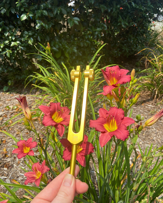 174 Hz Tuning Fork - Carry Bag and Striker, Sound Vibration, Energy Vibration - Attenuator Handle Extender with 10mm Crystal - Biofield