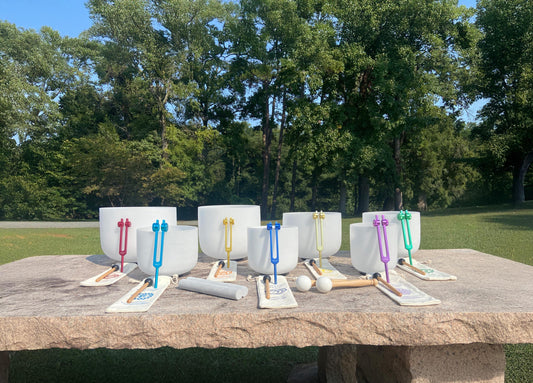 Myriad Melodies' Perfect Pitch (5 Cents) 432 Hz 6-12 Frosted White Set - 10 Chakra Tuning Forks 10 Crystal Attenuators - Protective Cases