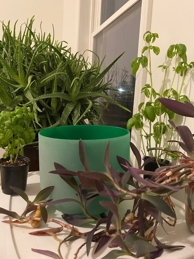 8" Luminous Green Crystal Singing Bowl 432 Hz F Note Heart Chakra - 99.9 % Quartz, Sound Healing, Rubber Mallet and O-ring Included - Myriad Melodies