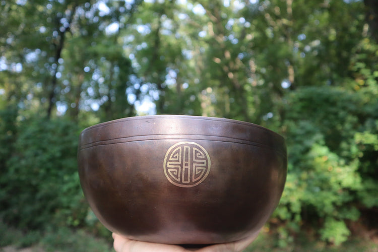 432Hz 10" Himalayan Thick Style Singing Bowl - Premium Quality Sound - Om Mani Padme Hum Inscribed - Sound Bowl, Cushion, Mallets, Striker