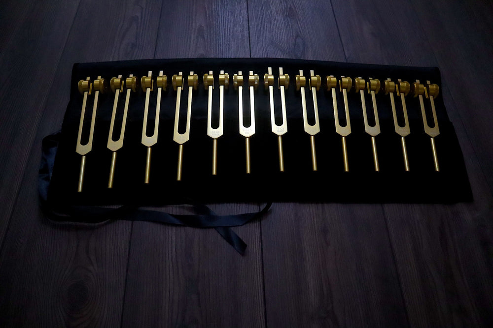 12pc Song of the Spine Tuning Fork Set Professionally Tuned .25 Hz - Bio-field - Organs, Tissue, and Cells, Sound Vibration, Bag
