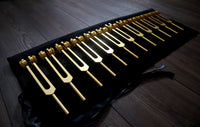 12pc Song of the Spine Tuning Fork Set Professionally Tuned .25 Hz - Bio-field - Organs, Tissue, and Cells, Sound Vibration, Bag