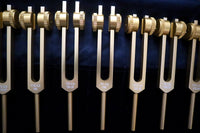 12pc Song of the Spine Tuning Fork Set Professionally Tuned .25 Hz - Bio-field - Organs, Tissue, and Cells, Sound Vibration, Bag