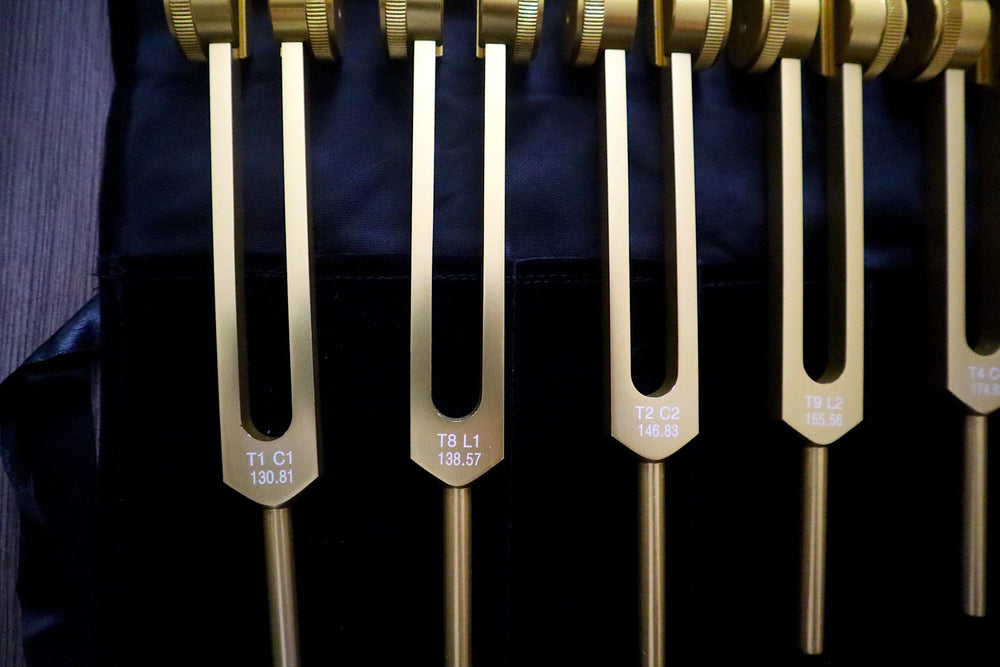 12pc Song of the Spine Tuning Fork Set Professionally Tuned .25 Hz - Bio-field - Organs, Tissue, and Cells, Sound Vibration, Bag