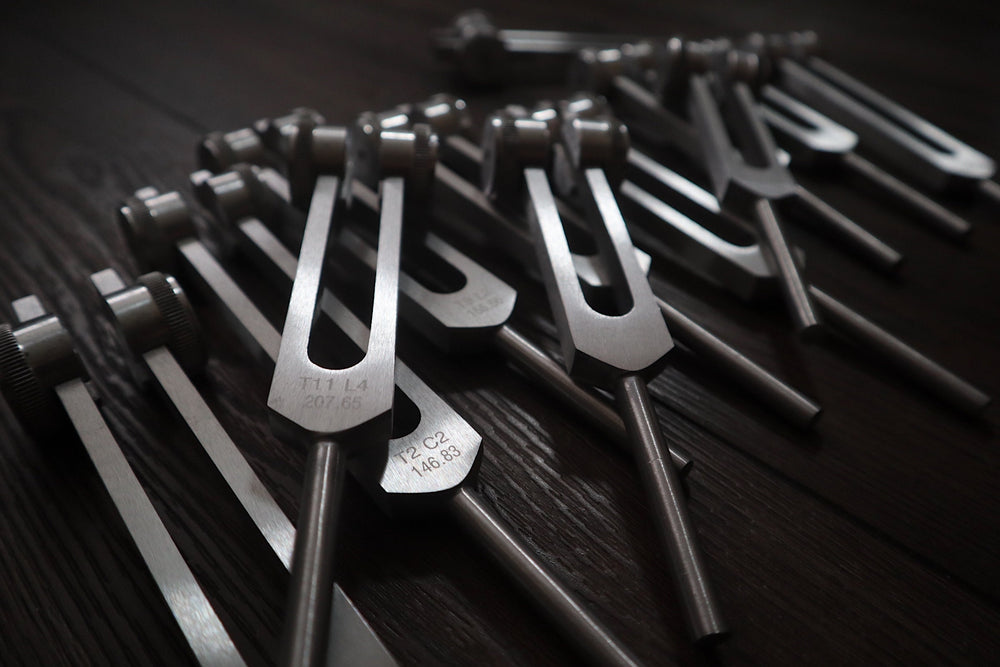 12pc Song of the Spine Tuning Fork Set Professionally Tuned .25 Hz - Bio-field - Organs, Tissue, and Cells, Sound Vibration, Bag