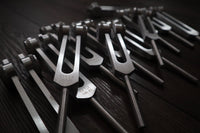 12pc Song of the Spine Tuning Fork Set Professionally Tuned .25 Hz - Bio-field - Organs, Tissue, and Cells, Sound Vibration, Bag