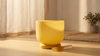Crystal Singing Bowls and the Chakra System: A Beginner's Guide
