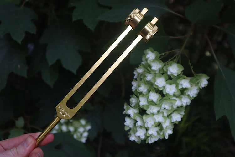 Schumann 93.96Hz Tuning Fork - Vibrate and Align Myriad Melodies Schumann 93.96Hz Tuning Fork - Vibrate and Align Myriad Melodies