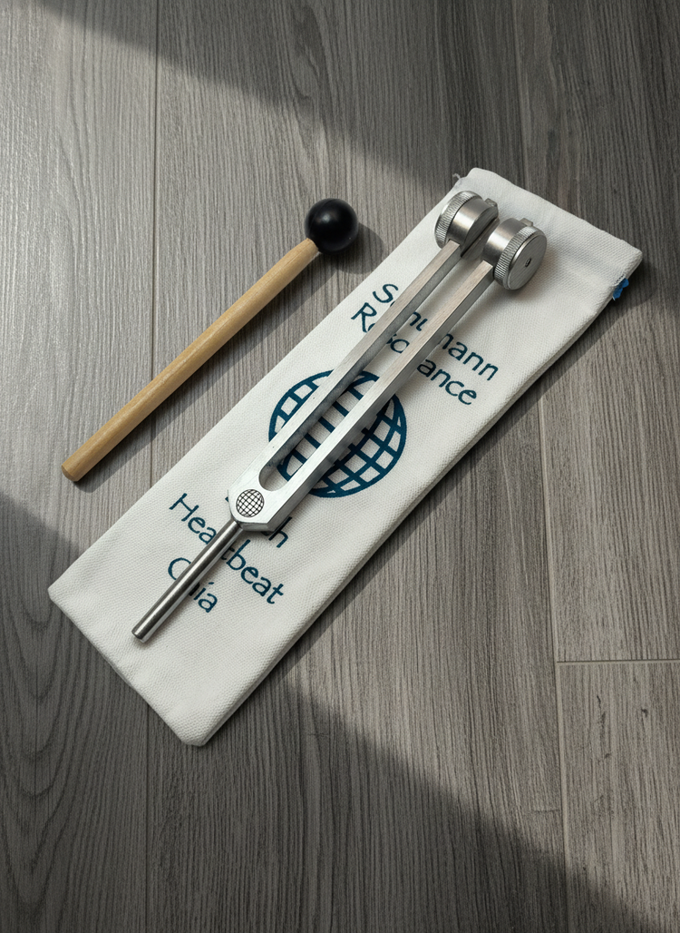 Schumann 93.96Hz Tuning Fork - Vibrate and Align Myriad Melodies Schumann 93.96Hz Tuning Fork - Vibrate and Align Myriad Melodies