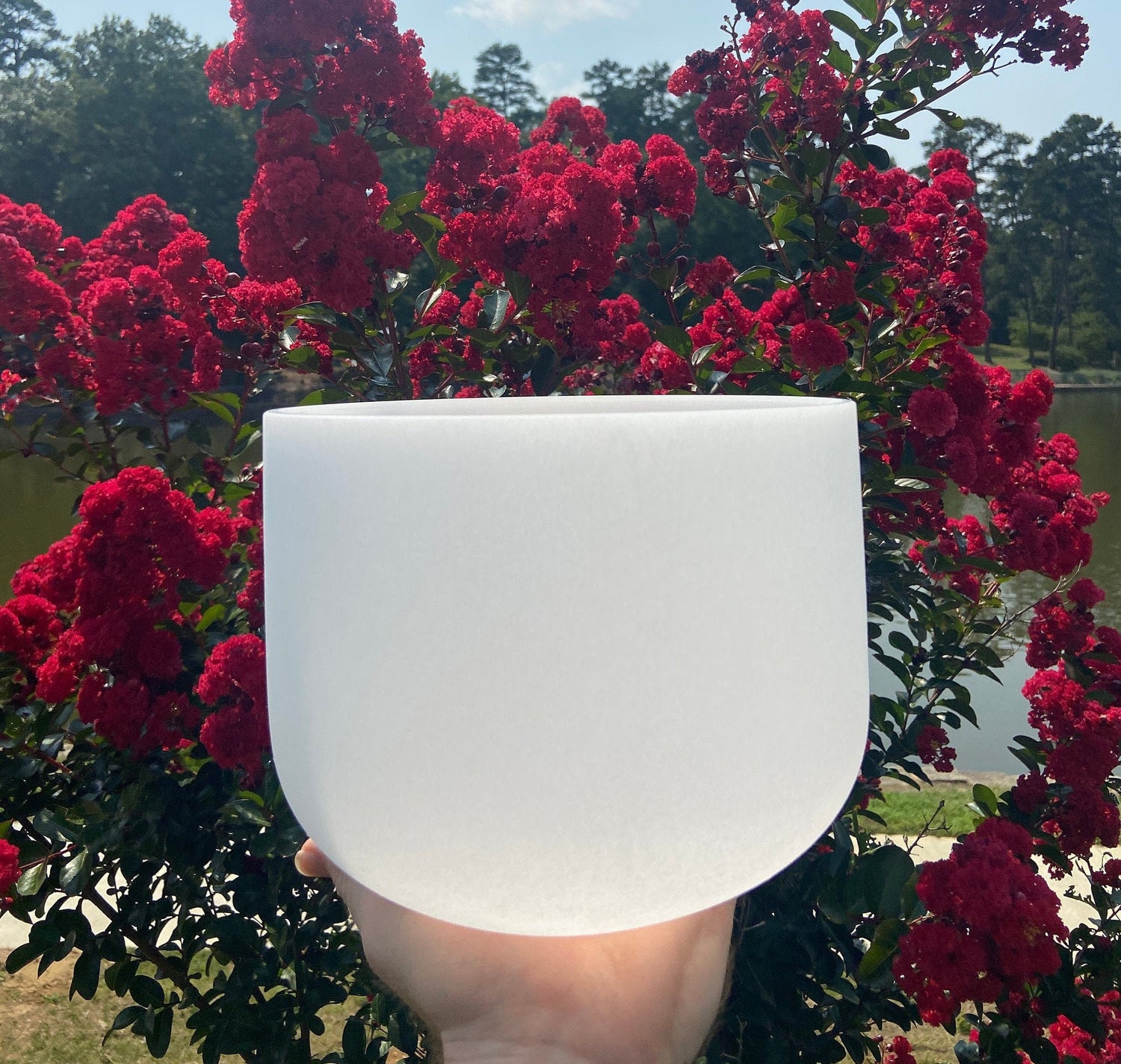 528hz White Light and Gravity Singing Bowl - Solfeggio Love Frequency, 8” C Note, Sound Vibration, Carry Case, Striker, Mallet, and O-ring