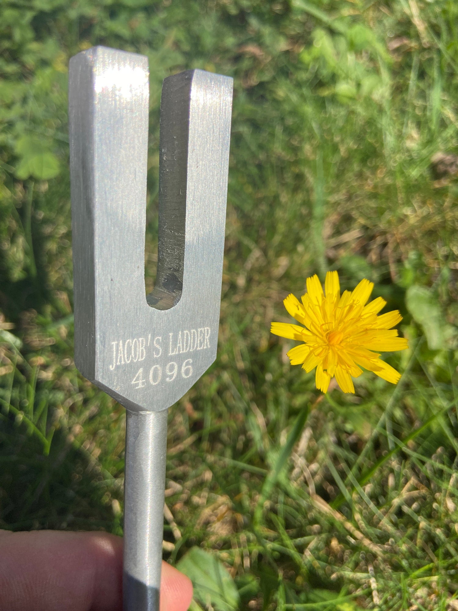 Crystal Resonator 4096 Hz - Vibration Crystals - Professionally Tuned .25 Hz - Angel Tuner, Gemstone Points, Crystal Vibration Kit