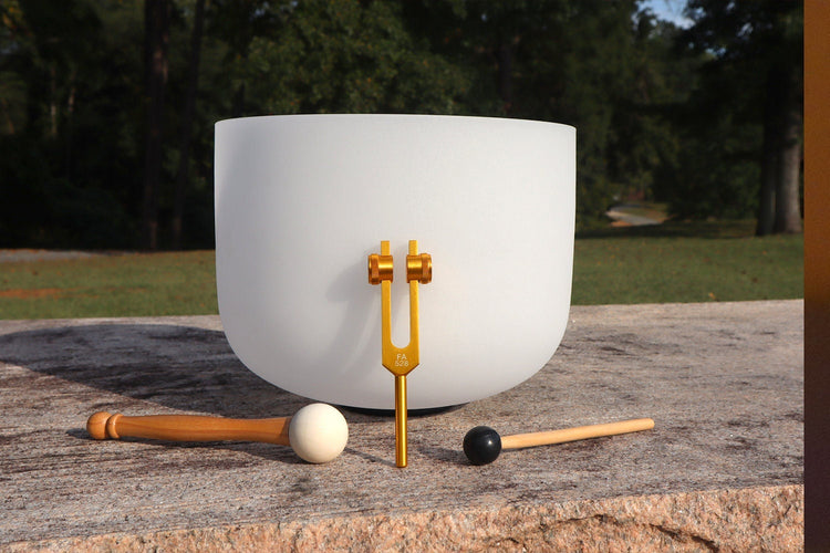 432 Hz 12" Crystal Singing C Note Bowl And Solfeggio With 528 Hz Tuning Fork - 99.99% Quartz Crystal - One Mallet, O-ring, Purple Case