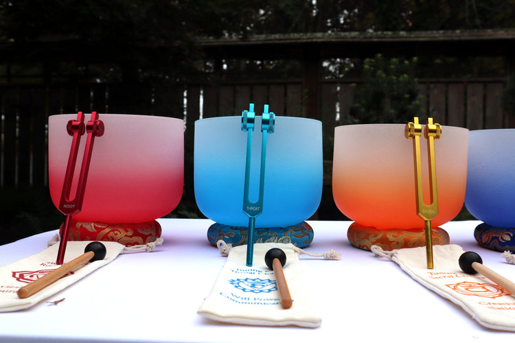 Soft Light 10" Singing Bowl - Perfect Pitch 432 Hz 99.99% Quartz Crystal Singing Bowl, Padded Carry Case, Cushion, And Mallet