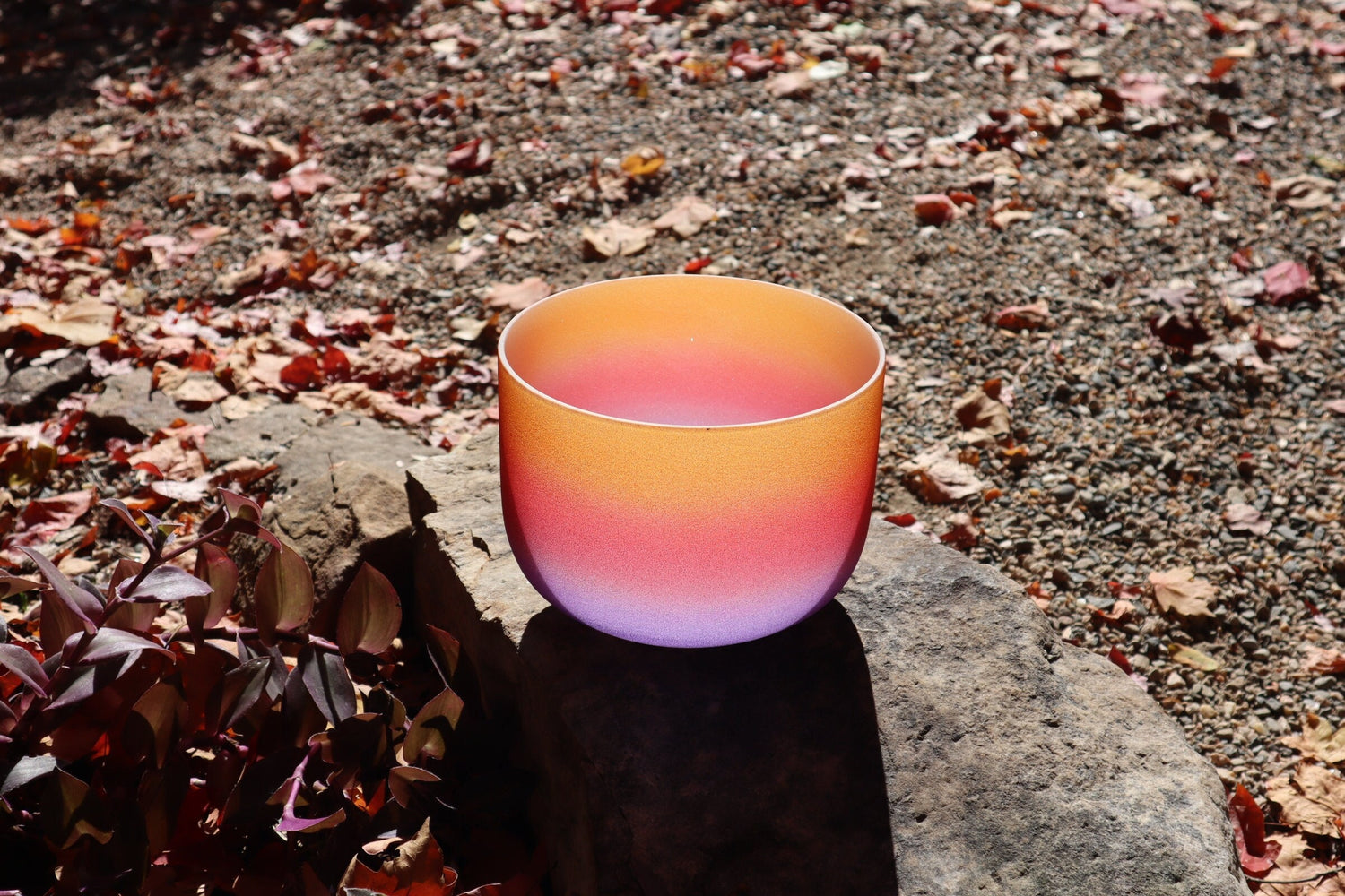Desert Flower - 432Hz 8" Solar Plexus Chakra E Note Crystal Singing Bowl - Mallet, Padded Carry Case, 528 Hz Solfeggio Tuning Fork