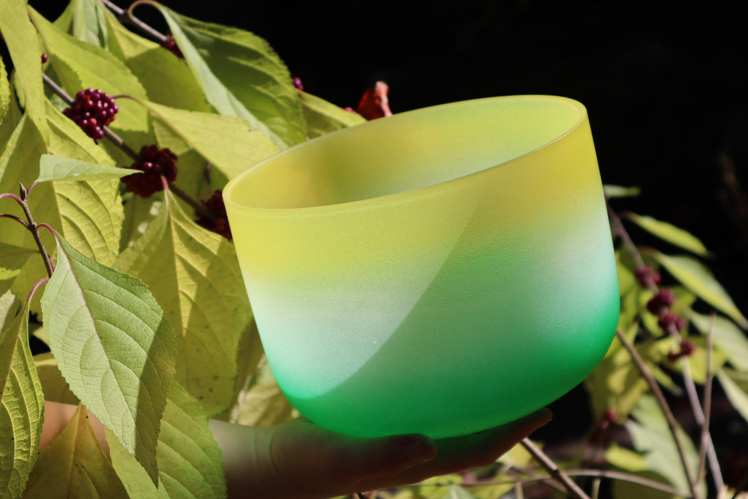 Lemongrass Bowl and 528 Hz Solfeggio Tuning Fork Bundle - Solar Plexus and 7" Crown Chakra Bowls, Mallet, O-Ring, Carry Case