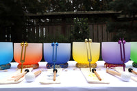 Soft Light 10" Singing Bowl - Perfect Pitch 432 Hz 99.99% Quartz Crystal Singing Bowl, Padded Carry Case, Cushion, And Mallet