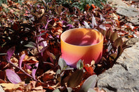 Desert Flower - 432Hz 8" Solar Plexus Chakra E Note Crystal Singing Bowl - Mallet, Padded Carry Case, 528 Hz Solfeggio Tuning Fork