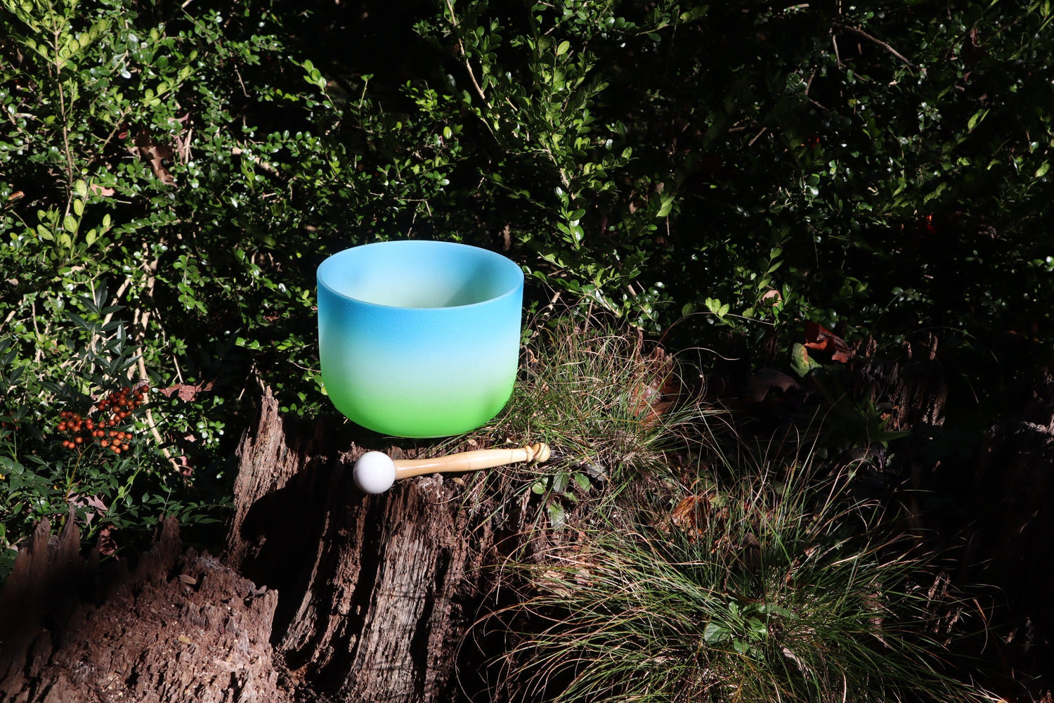 Earthly Heaven - 432Hz 8" Throat Chakra G Note Crystal Singing Bowl - Mallet, Padded Carry Case, 528 Hz Solfeggio Tuning Fork