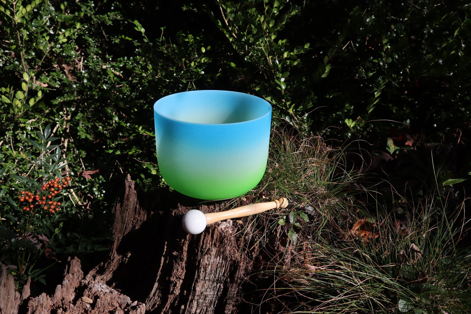 Earthly Heaven - 432Hz 8" Throat Chakra G Note Crystal Singing Bowl - Mallet, Padded Carry Case, 528 Hz Solfeggio Tuning Fork