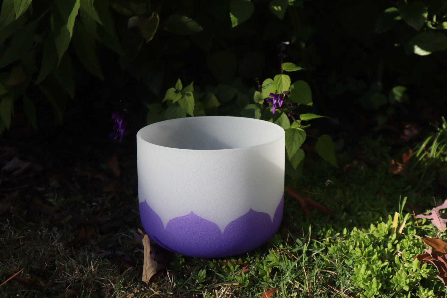 Lotus Petal and Chakra Printed 8" Bowl - 432 Hz 99.99% Quartz Crystal Singing Bowl And Mallet