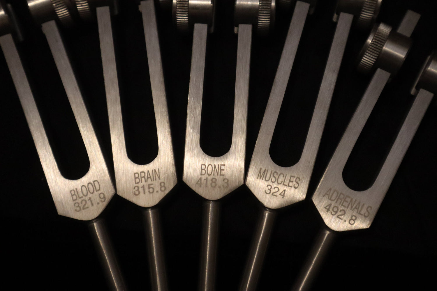 Myriad Melodies' Professionally Tuned .25 15pc Human Biology Tuning Fork Set - Organs Tissue Cells Sound Vibration, Bio-field, Carry Bag