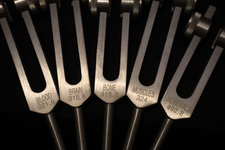 Myriad Melodies' Professionally Tuned .25 15pc Human Biology Tuning Fork Set - Organs Tissue Cells Sound Vibration, Bio-field, Carry Bag