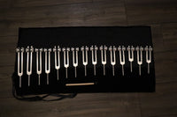 Myriad Melodies' Professionally Tuned .25 15pc Human Biology Tuning Fork Set - Organs Tissue Cells Sound Vibration, Bio-field, Carry Bag