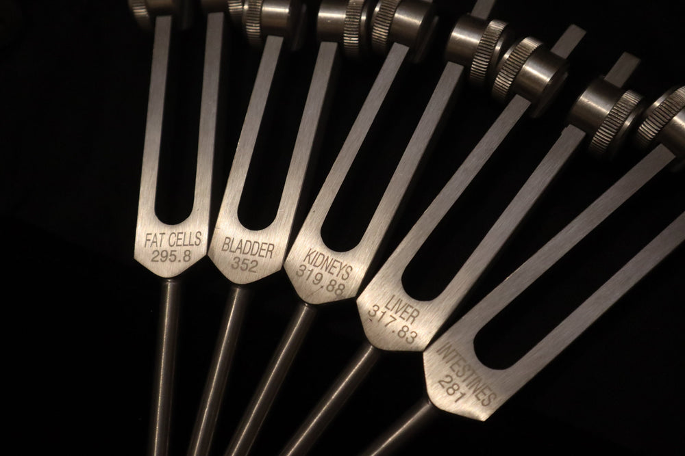 Myriad Melodies' Professionally Tuned .25 15pc Human Biology Tuning Fork Set - Organs Tissue Cells Sound Vibration, Bio-field, Carry Bag