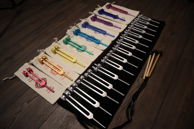 24pc Human Biology And Solfeggio Tuning Forks - Professionally Tuned .25 - Bio-field, Sound Vibration, Vibration