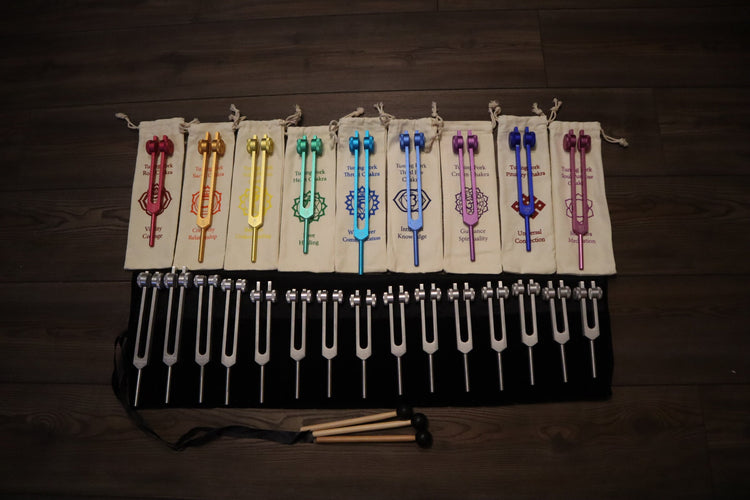 24pc Human Biology And Solfeggio Tuning Forks - Professionally Tuned .25 - Bio-field, Sound Vibration, Vibration