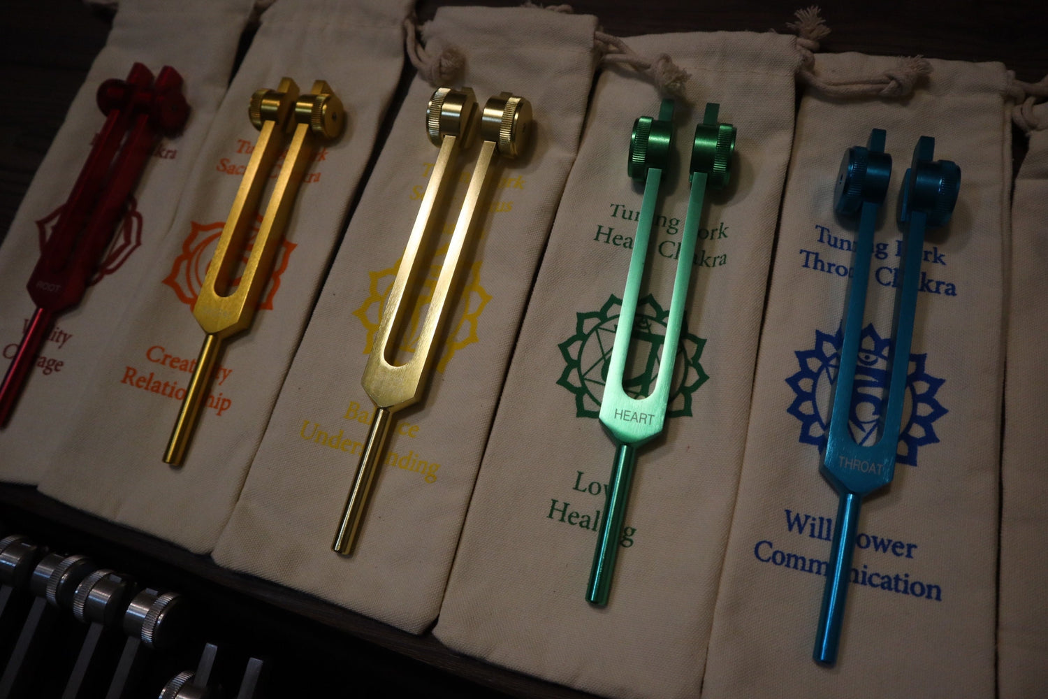 23pc Human Biology And Chakra Tuning Fork Bundle - Professionally Tuned .25 - Weighted, Bio-field, Sound Vibration