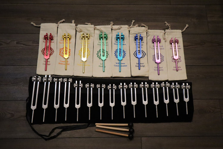 23pc Human Biology And Chakra Tuning Fork Bundle - Professionally Tuned .25 - Weighted, Bio-field, Sound Vibration