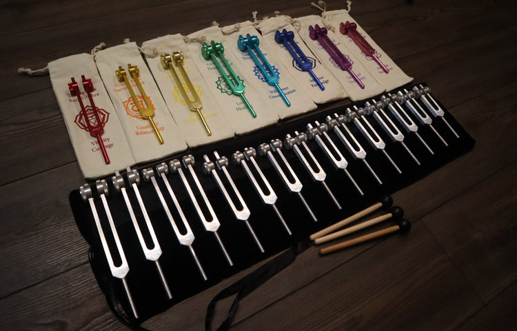 23pc Human Biology And Chakra Tuning Fork Bundle - Professionally Tuned .25 - Weighted, Bio-field, Sound Vibration