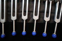 19pc Chakra and Planetary Tuning Fork - Professionally Tuned .25 - Weighted, Astrology, Chakras, Sound Vibration, Bio-field