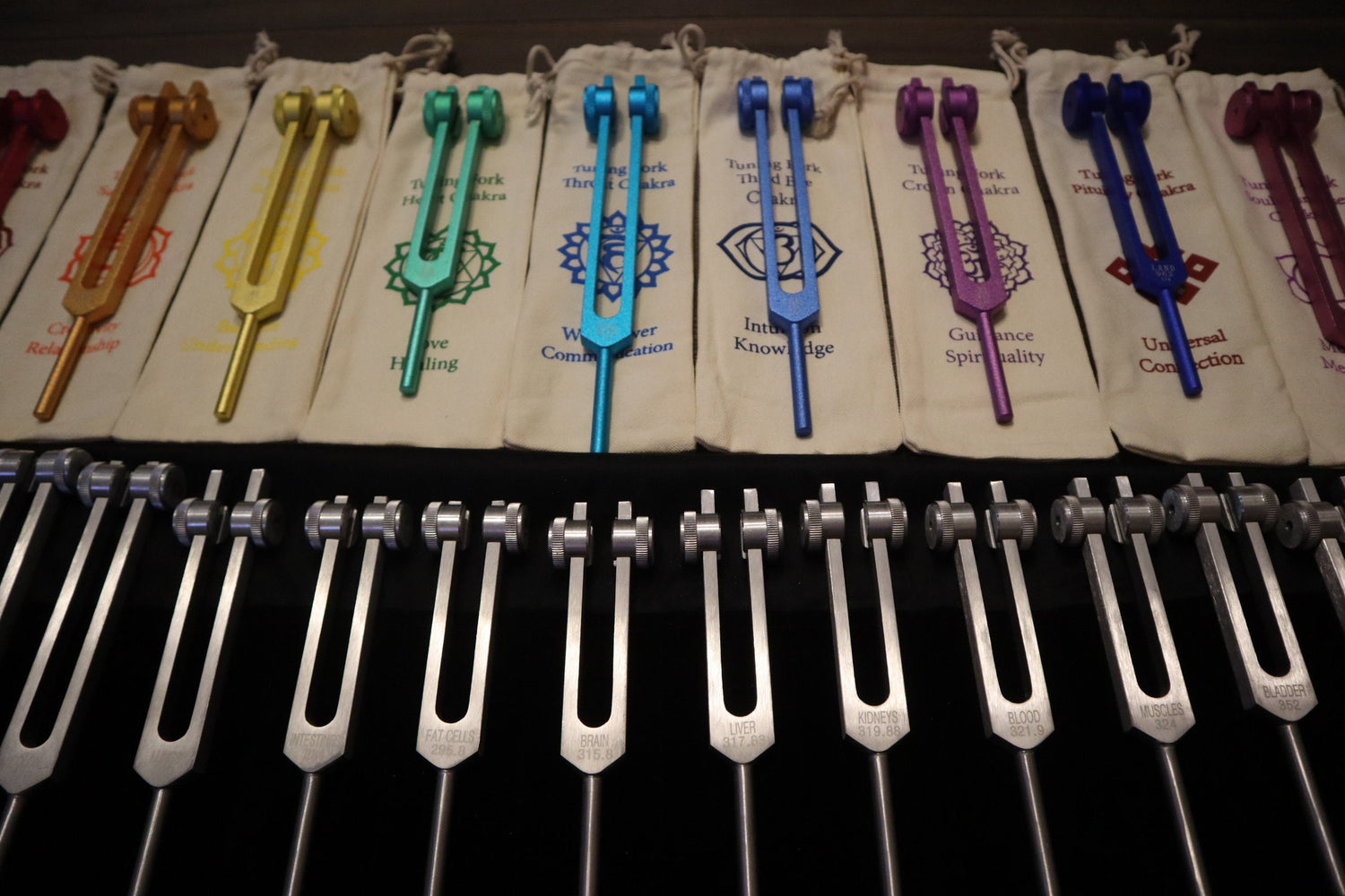 24pc Human Biology And Solfeggio Tuning Forks - Professionally Tuned .25 - Bio-field, Sound Vibration, Vibration