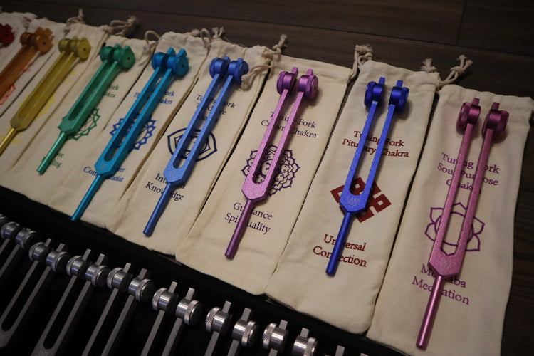 24pc Human Biology And Solfeggio Tuning Forks - Professionally Tuned .25 - Bio-field, Sound Vibration, Vibration