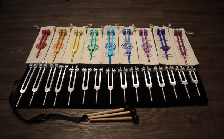24pc Human Biology And Solfeggio Tuning Forks - Professionally Tuned .25 - Bio-field, Sound Vibration, Vibration