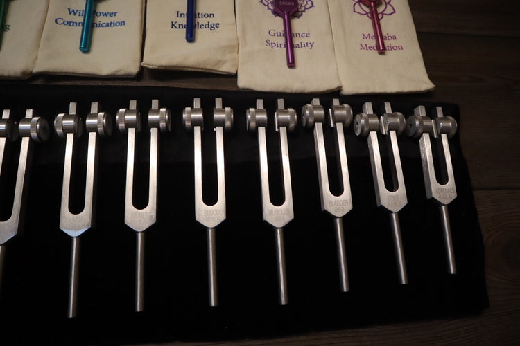 23pc Human Biology And Chakra Tuning Fork Bundle - Professionally Tuned .25 - Weighted, Bio-field, Sound Vibration